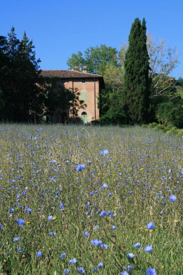 Galluzzo Ancient Country Villa Casalecchio Di Reno Buitenkant foto