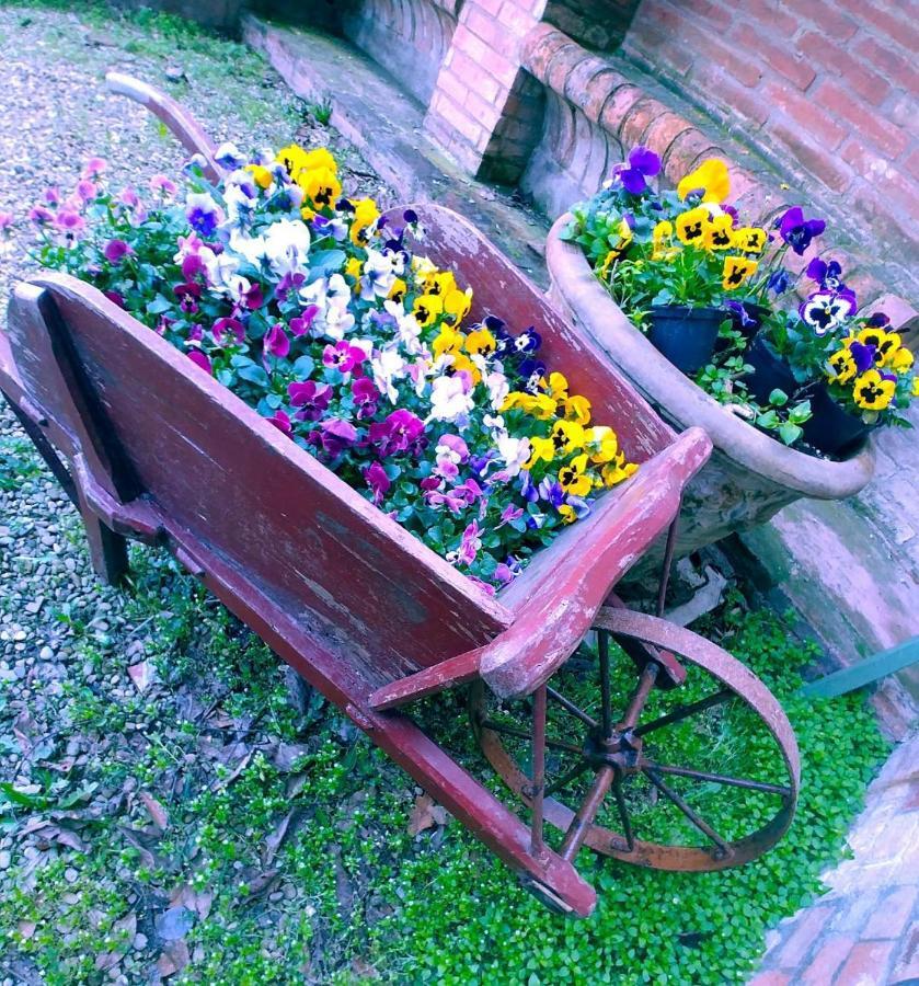 Galluzzo Ancient Country Villa Casalecchio Di Reno Buitenkant foto